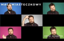 Dawid Podsiadło - Małomiasteczkowy (acapella cover)