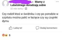 Mama PLUS, plusy i minusy programu PiS