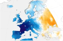 Jak dziennikarz "Rzepy" robi z siebie...