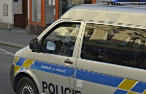 Sylwester we Francji: Policjantka skatowana przez imigrantów, 1000 spalonych aut