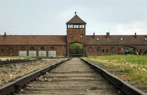 Ultimatum dla dyrektora muzeum obozu Auschwitz-Birkenau