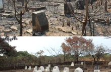 Polskie cmentarze w Afryce. Blizna po Syberii