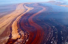 W najgłębszym rowie oceanicznym na Ziemi odkryto bakterie żywiące się ropą