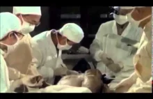 Autopsja zwłok idealnie zachowanego ciała sprzed 2000 lat