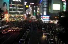 Ruch pieszy w Tokyo