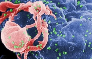 Znaleźli piętę achillesową wirusa HIV