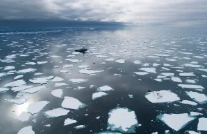 Niszczymy lodowce i oceany w zastraszającym tempie, przed nami efekt domina