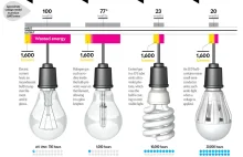 Infografika: Porównanie parametrów "żarówek oszczędnych"