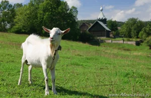 Suwalszczyzna - kraina jak baśń