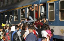 Chaos na dworcu Keleti w Budapeszcie: policja wpuściła imigrantów. Pociągi...