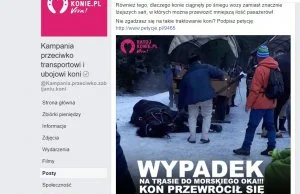 Koń przewrócił się na drodze do Morskiego Oka