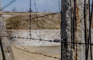 Dolnośląskie: Na terenie byłego niemieckiego obozu znaleziono szczątki 92...