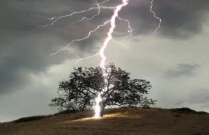 Oto, co może się z Wami stać, gdy podczas burzy schronicie się przed...