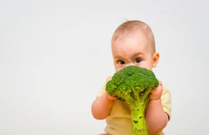 Dzieci wegan i wegetarian są w przedszkolach dyskryminowane?