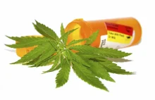 Marihuana - Kannabinoidy - Nauka - Medyczna