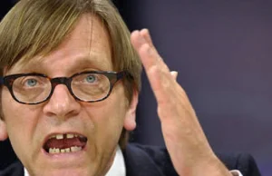 Guy Verhofstadt wzywa do zawieszenia Polski w UE