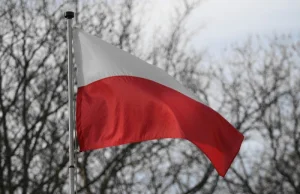 Polak... zdeptał flagę Polski