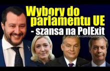 Wybory do parlamentu UE - szansa na PolExit?!
