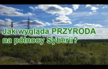 Jak wygląda przyroda na północy Syberii?