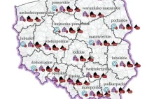 Ponad 84 tys. polskich zabytków na interaktywnej, internetowej mapie.