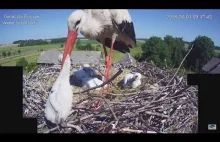 Chciał go zabić! Mocna scena.