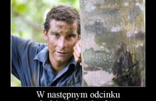 W następnym odcinku Bear Grylls spróbuje założyć firmę w Polsce