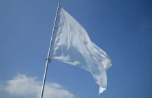 Brzyski: Porzućmy ideologię „białej flagi” | Jagielloński24.pl