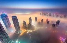 Cityscape by Daniel Cheong | Full of Taste