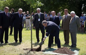 Nieznany sprawca ukradł Komorowskiemu dąb