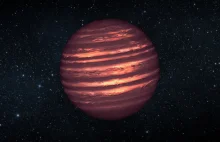 Astronomowie-amatorzy odkryli pobliskiego brązowego karła