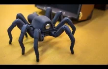 Świetny pająk robot.
