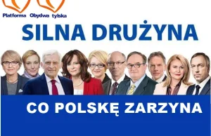 20 % dla KNP? B----l coraz szybciej płonie. Alfons i prostytutki w panice.