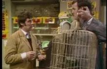 Monty Python - Skecz z papugą