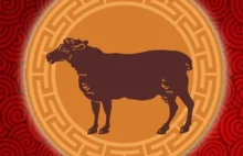 Koza - horoskop chiński